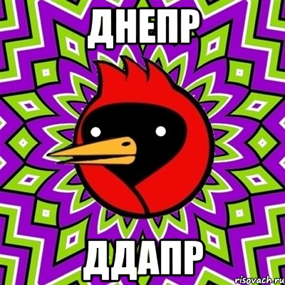 днепр ддапр, Мем Омская птица