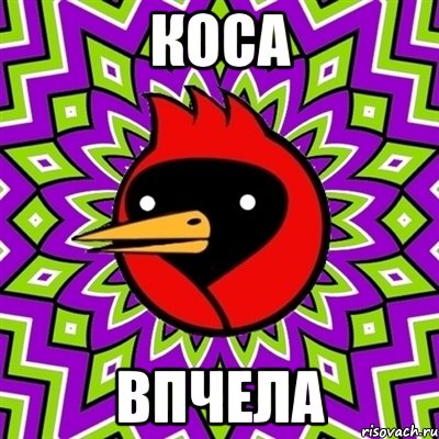 коса впчела, Мем Омская птица