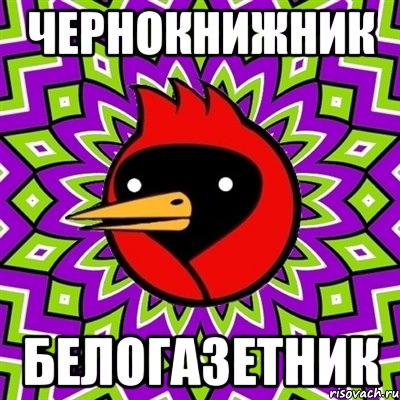 чернокнижник белогазетник, Мем Омская птица