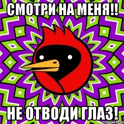 смотри на меня!! не отводи глаз!, Мем Омская птица