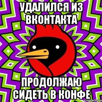 УДАЛИЛСЯ ИЗ ВКОНТАКТА ПРОДОЛЖАЮ СИДЕТЬ В КОНФЕ, Мем Омская птица