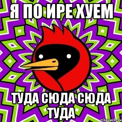 Я по Ире хуем Туда сюда Сюда Туда, Мем Омская птица