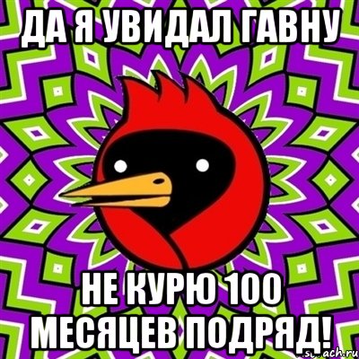 да я увидал гавну не курю 100 месяцев подряд!, Мем Омская птица