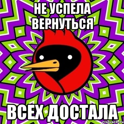 Не успела вернуться Всех достала, Мем Омская птица