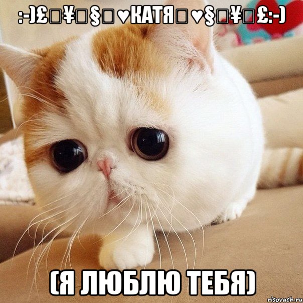 :-)£€¥₩§♡♥Катя♡♥§₩¥€£:-) (Я люблю тебя), Мем опять порнаграфия