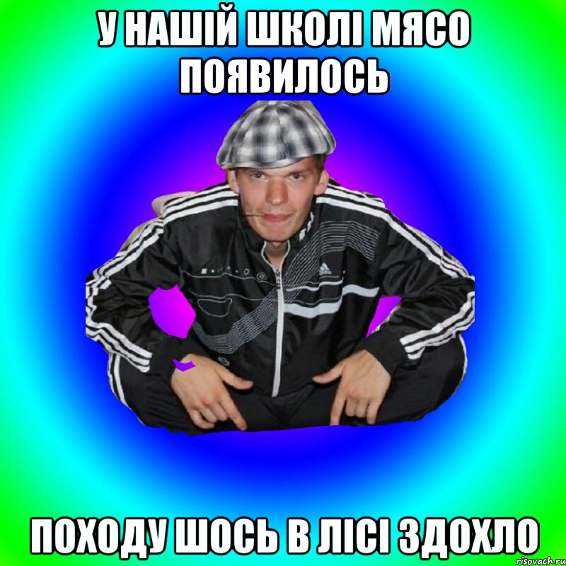 у нашій школі мясо появилось походу шось в лісі здохло