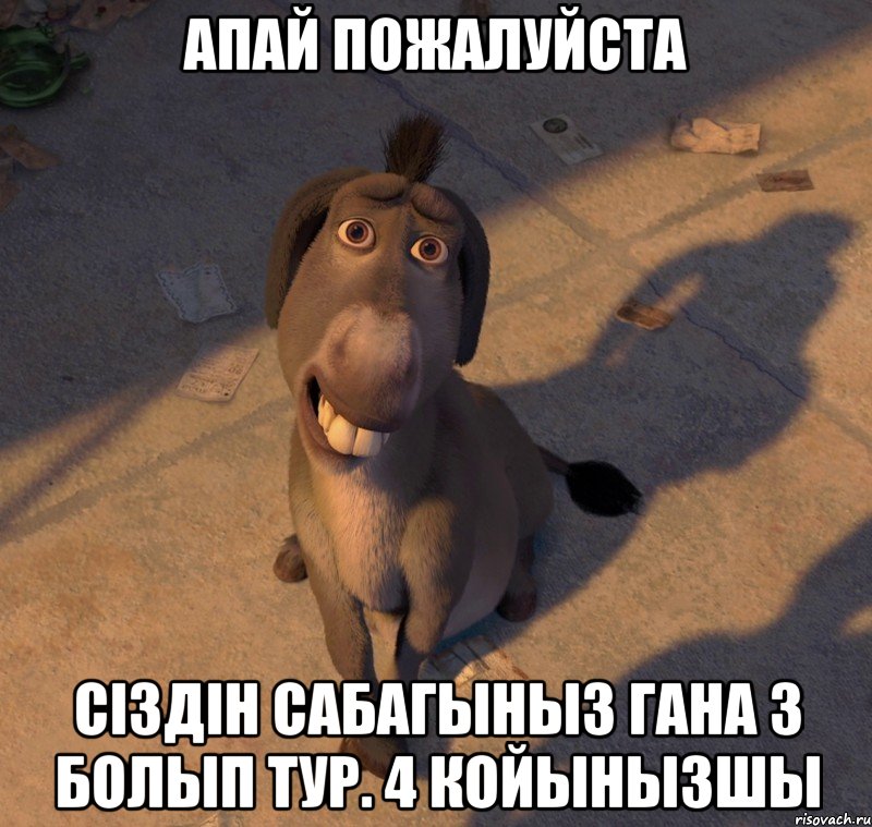 апай пожалуйста сіздін сабагыныз гана 3 болып тур. 4 койынызшы, Мем Осёл