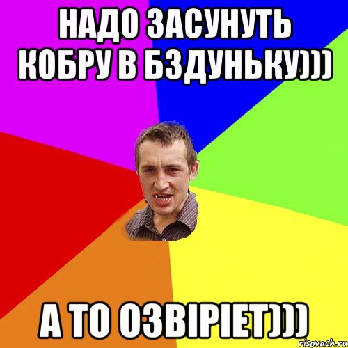 Надо засунуть кобру в бздуньку))) А то озвіріет))), Мем Чоткий паца