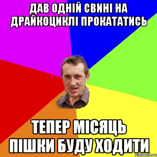 Дав одній свині на драйкоциклі прокататись тепер місяць пішки буду ходити, Мем Чоткий паца