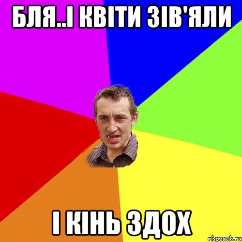 бля..і квіти зів'яли і кінь здох, Мем Чоткий паца