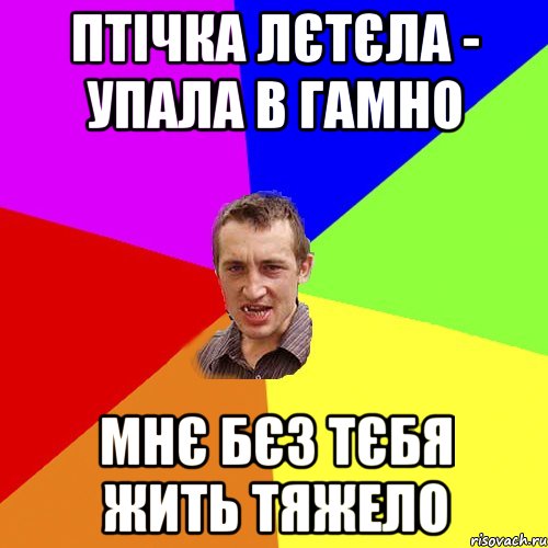 Птiчка лєтєла - упала в гамно Мнє бєз тєбя жить тяжело, Мем Чоткий паца