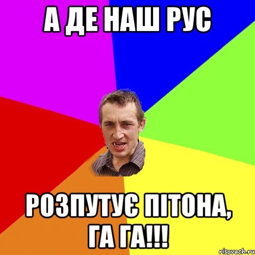 а де наш рус розпутує пітона, га га!!!, Мем Чоткий паца