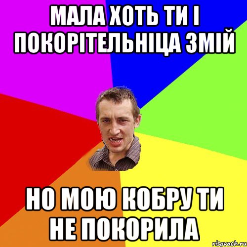 Мала хоть ти і покорітельніца змій Но мою кобру ти не покорила, Мем Чоткий паца