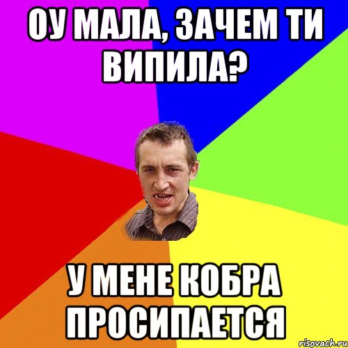 оу мала, зачем ти випила? у мене кобра просипается, Мем Чоткий паца