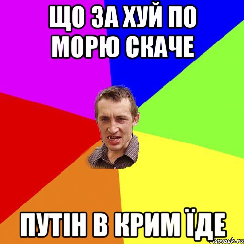 Що за хуй по морю скаче путін в крим їде, Мем Чоткий паца