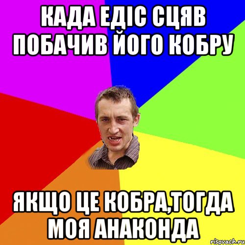 Када Едіс сцяв побачив його кобру Якщо це кобра,тогда моя анаконда, Мем Чоткий паца