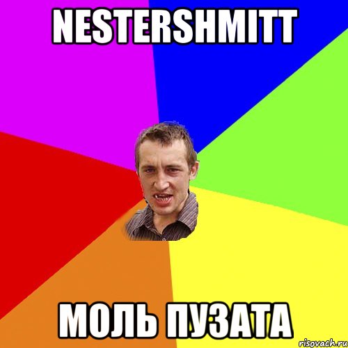 nestershmitt моль пузата, Мем Чоткий паца