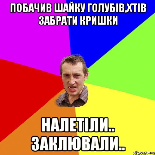 Побачив шайку голубів,хтів забрати кришки Налетіли.. заклювали.., Мем Чоткий паца