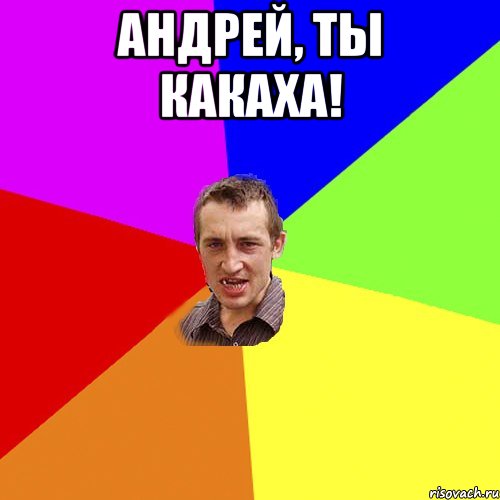 Андрей, ты какаха! , Мем Чоткий паца