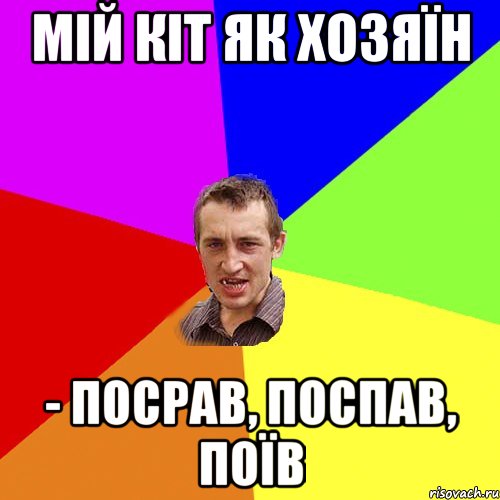 Мій кіт як хозяїн - посрав, поспав, поїв, Мем Чоткий паца