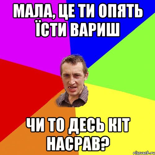 мала, це ти опять їсти вариш чи то десь кіт насрав?, Мем Чоткий паца