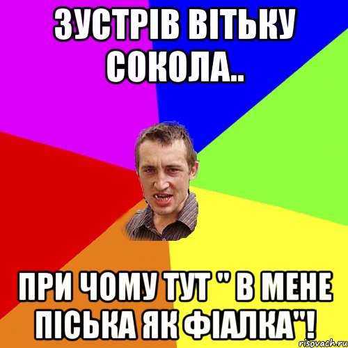 Зустрів Вітьку Сокола.. При чому тут " в мене піська як фіалка"!, Мем Чоткий паца