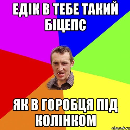 ЕДІК В ТЕБЕ ТАКИЙ БІЦЕПС ЯК В ГОРОБЦЯ ПІД КОЛІНКОМ, Мем Чоткий паца