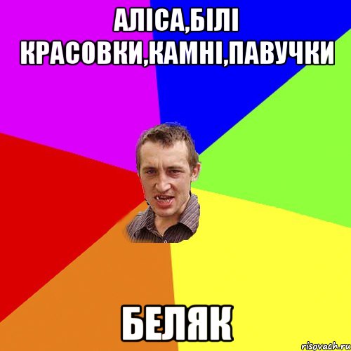 аліса,білі красовки,камні,павучки БЕЛЯК, Мем Чоткий паца