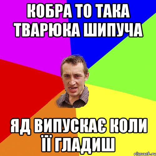 Кобра то така тварюка шипуча Яд випускає коли її гладиш, Мем Чоткий паца