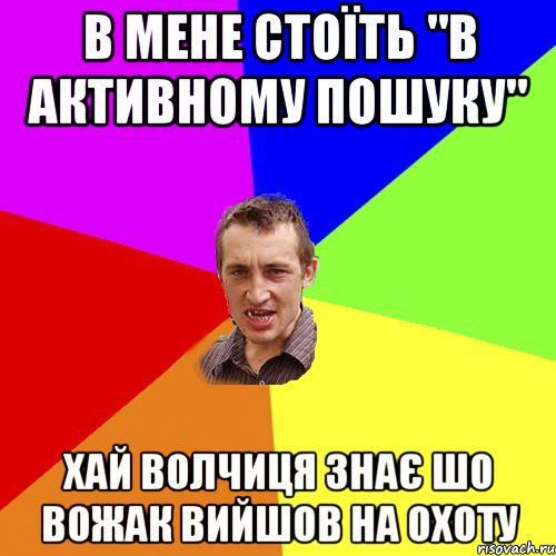 в мене стоїть "в активному пошуку" хай волчиця знає шо вожак вийшов на охоту, Мем Чоткий паца