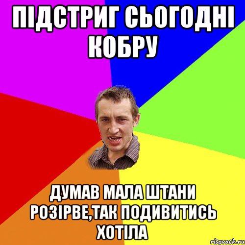 підстриг сьогодні кобру думав мала штани розірве,так подивитись хотіла, Мем Чоткий паца