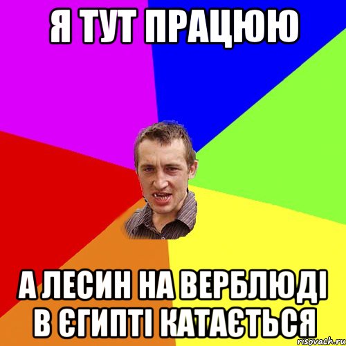 я тут працюю а Лесин на верблюді в Єгипті катається, Мем Чоткий паца