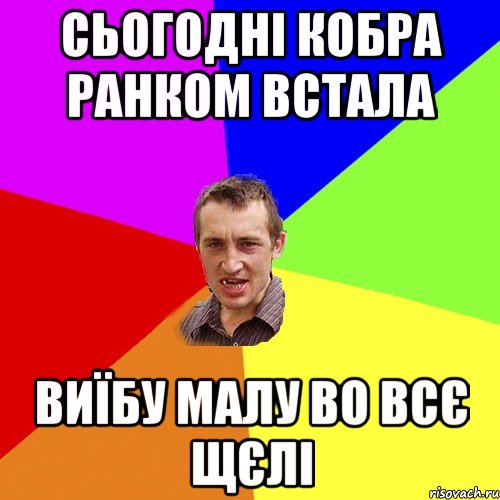 Сьогодні кобра ранком встала Виїбу малу во всє щєлі, Мем Чоткий паца