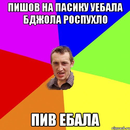 пишов на пасику уебала бджола роспухло пив ебала, Мем Чоткий паца