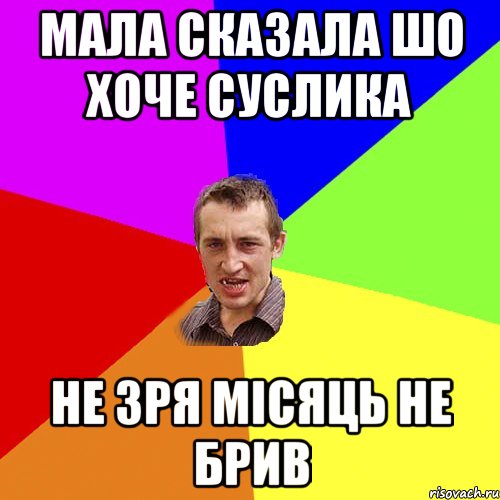 Мала сказала шо хоче суслика не зря місяць не брив, Мем Чоткий паца