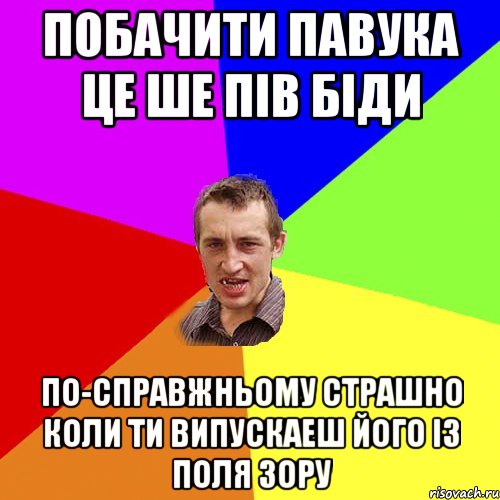 Побачити павука це ше пів біди По-справжньому страшно коли ти випускаеш його із поля зору, Мем Чоткий паца