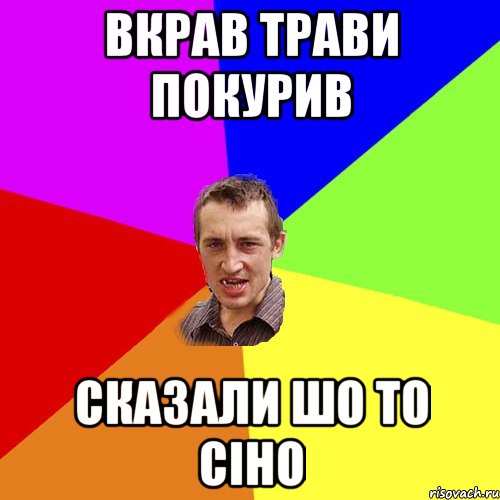 ВКРАВ ТРАВИ ПОКУРИВ СКАЗАЛИ ШО ТО СІНО, Мем Чоткий паца