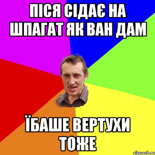 Піся сідає на шпагат як Ван Дам Їбаше вертухи тоже, Мем Чоткий паца