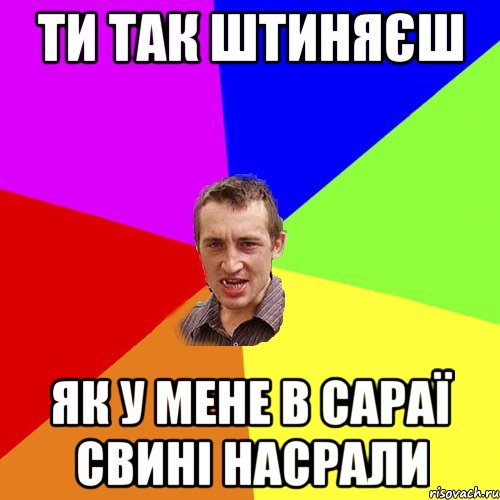 ти так штиняєш як у мене в сараї свині насрали, Мем Чоткий паца