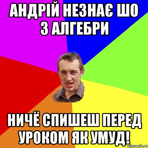 Андрій незнає шо з Алгебри Ничё спишеш перед уроком як Умуд!, Мем Чоткий паца