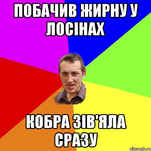 побачив жирну у лосінах кобра зів'яла сразу, Мем Чоткий паца