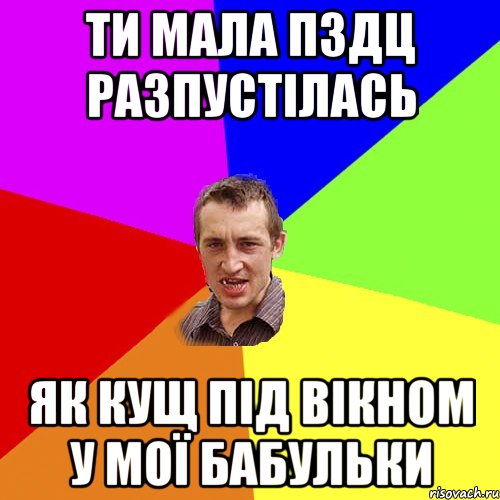 ти мала пздц разпустілась як кущ під вікном у мої бабульки, Мем Чоткий паца
