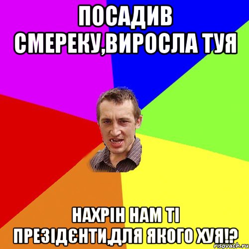 посадив смереку,виросла туя нахрін нам ті презідєнти,для якого хуя!?, Мем Чоткий паца