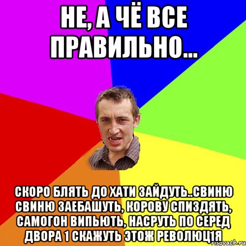 не, а чё все правильно... скоро блять до хати зайдуть..свиню свиню заебашуть, корову спиздять, самогон випьють, насруть по серед двора 1 скажуть этож революц1я, Мем Чоткий паца