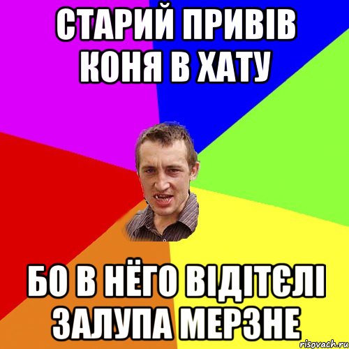 старий привів коня в хату бо в нёго відітєлі залупа мерзне, Мем Чоткий паца