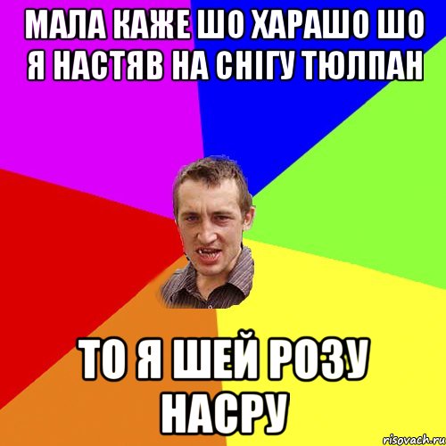 Мала каже шо харашо шо я настяв на снігу тюлпан то я шей розу насру, Мем Чоткий паца