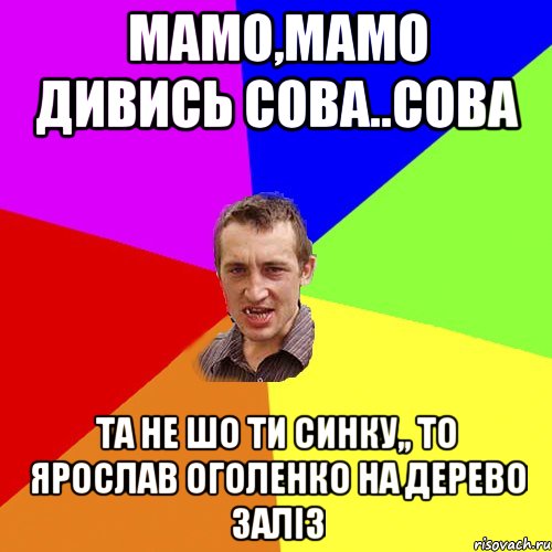 Мамо,мамо дивись сова..сова Та не шо ти синку,, то ярослав оголенко на дерево заліз, Мем Чоткий паца