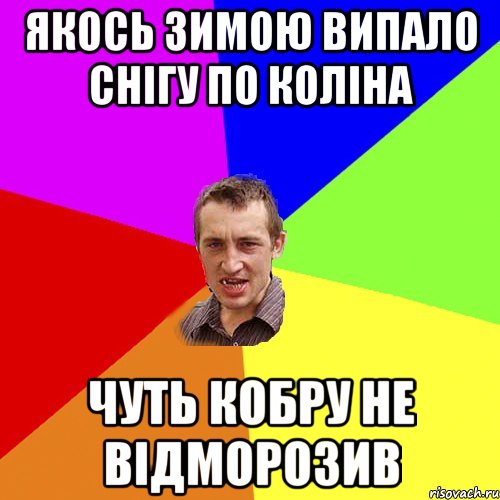 Якось зимою випало снігу по коліна чуть кобру не відморозив, Мем Чоткий паца