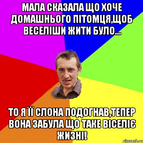 Мала сказала що хоче домашнього пітомця,щоб веселіши жити було... То я її слона подогнав,тепер вона забула що таке віселіє жизні!, Мем Чоткий паца