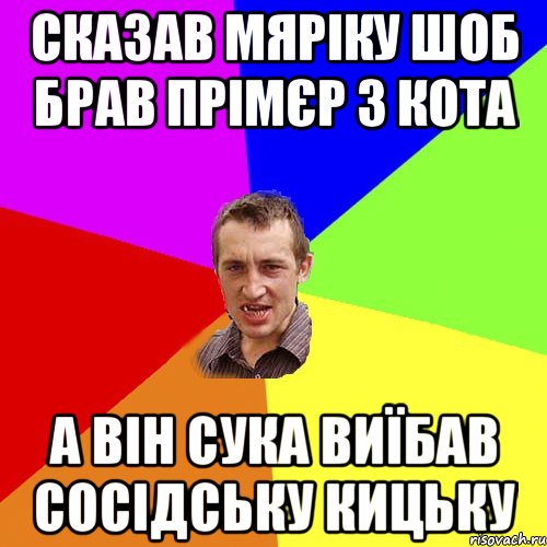 Сказав Мяріку шоб брав прімєр з кота а він сука виїбав сосідську кицьку, Мем Чоткий паца